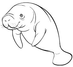 You can search several different ways, depending on what information you have available to enter in the site's search bar. Normal Manatee Coloring Page Free Printable Coloring Pages For Kids