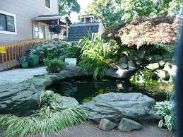 Koi Pond 2 Day Tripper Northwest Fish Pond Gardens Koi Pond Patio Ponds