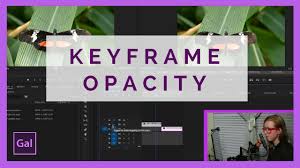 In this tutorial, you'll learn how to create a cool video intro using one of my favorite adobe premiere pro plugins, impact motion tween, by filmimpact.net. Keyframe Opacity To Create A Transition In Premiere Pro Cc For Beginners Youtube