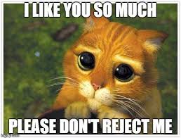 20 I Like You Memes That Will Make Her Blush Sayingimages Com Shrek Cat Cute Eyes Cute Cats