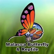 The melaka butterfly and reptile sanctuary (malay: Melaka Butterfly Reptile Sanctuary
