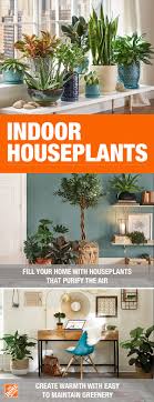 Maybe you would like to learn more about one of these? No Matter What Shade Of Green Your Thumb Is The Home Depot Garden Center Has Your Back Indoor Houseplants P Houseplants Indoor Plants Indoor Flowering Plants