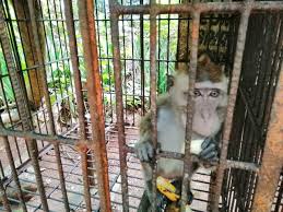 「五島市のカネミ油症医療費立替」の画像検索結果