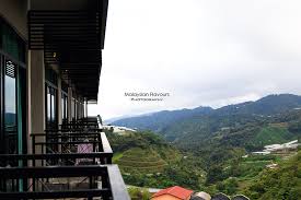 Nova highlands resort & residence is a family hotel at aranda nova in kea farm, about 3km away from brinchang town along the main road to tringkap. Nova Highlands Resort Residence Cameron Highlands Stay Review Malaysian Flavours