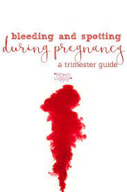 Bleeding during pregnancy (first trimester) see pictures of a growing fetus through the 3 stages of pregnancy see images. Pin On Pregnancy Tips