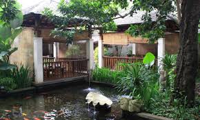 Kolam ikan minimalis di pekarangan rumah. Membuat Kolam Ikan Mas Di Belakang Area Rumah Ini Tipsnya Tom Si Tegar