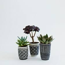 Black And White Flower Pot Inspiration 415 Plants Flower Pots House Plants