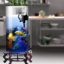 Akuarium ini sangat bagus untuk pemula karena ukurannya yang kecil, relatif murah (ideal untuk mereka yang memiliki anggaran terbatas), dan juga bisa menjadi. Silinder Tangki Ikan Ruang Tamu Kaca Vertikal Akuarium Kecil Dan Menengah Desktop Filter Akuarium Ikan Mas Akuarium Tanks Aliexpress