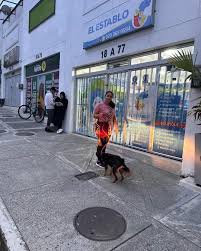 Veterinaria El Establo