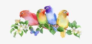 We did not find results for: Fotki For The Birds Bird Pictures Art Flowers Chant Good Morning My Familys Png Image Transparent Png Free Download On Seekpng
