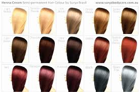 20 Punctual Vitons Hair Colour Chart