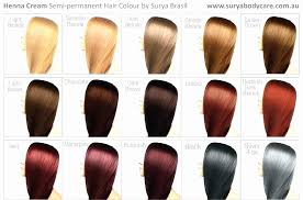 20 punctual vitons hair colour chart