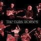 THE DARK HORSES perform the Music of George Harrison event image