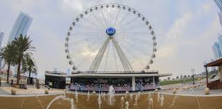 Eye Of The Emirates Wheel Sharjah Mangrove Forest Emirates
