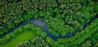 Antena 3 antena 1 dolce sport protv my web tv online. Green Energy Stories Enel Green Power