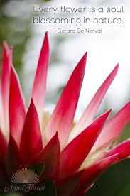 A Beautiful Quote With A Beautiful Flower Every Flower Is A Soul Blossoming In Nature Gerard De Nerval Flower Quotes Beauty Quotes Floral Quotes