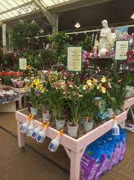 Matlock Garden Centre Blue Diamond Garden Centre Lifestyle Layout Landscape Visual Merchandis Garden Center Displays Plant Pot Design Garden Center