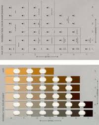 Example Pages From Munsell Color Charts For Illustrative