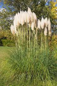 Maybe you would like to learn more about one of these? Pin Auf Green Fingers
