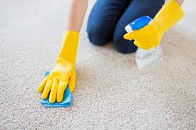 Charcoal is another great natural odor absorber. Best Ways To Remove Odors From Carpet End Of Tenancy Cleaning Near Me Blog