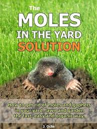 I kept the little bottle of iodine near the bathroom sink so i'd see it and remember to do it, especially before bed at night. The Moles In The Yard Solution How To Get Rid Of Moles And Gophers In Your Yard The Fast Easy And Or Garden Pests Moles In Yard Garden Pests Identification