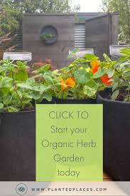 Mixology Garden Kit Garden Kits Growing Organic Herbs Organic Gardening