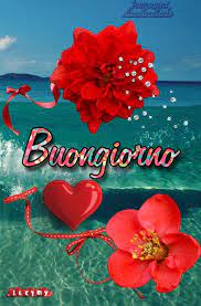 Buongiorno Lucymy Buongiorno