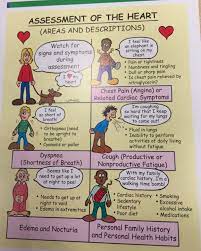 Assessment Of The Heart Health Assessment Nursing Nursing School Notes Nursing School Studying