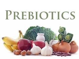 Prebiotics, the healthy way ahead