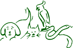 This web site is a service to you, the pet owner, if there is pet care topic you are interested in, we welcome your questions and suggestions. Cheat Lake Animal Hospital 286 Fairchance Road Morgantown Wv 26508 Phone 304 594 1124 Fax 304 594 1911