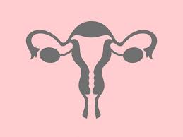 Ovarian cancer overview ovarian cancer warning signs include ongoing pain or cramps in the belly or back, abnormal vaginal bleeding, nausea, and bloating. Ovarian Cancer Screening Isn T As Simple As Getting An Ultrasound Self