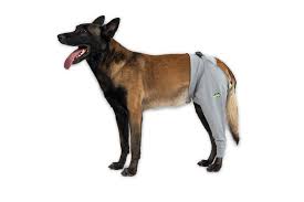 Dog Rear Leg Recovery Sleeve to Stop Licking