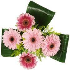 Najděte stock snímky na téma flowers vero beach fl v hd a miliony dalších stock fotografií, ilustrací a vektorů bez autorských poplatků ve sbírce shutterstock. Flower Delivery Berlin Online Florist Berlin