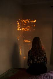 Bird A La Mode Cps Artists Anni Leppala Portfolio Portfolio 15 Art Photography Artist Photography Inspiration