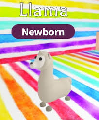 Adopt Me Llamas Are Rare And Special Pet Store Ideas Pets Drawing Cute Baby Animals