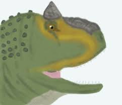 The following simple, illustrated steps will help guide you to drawing a great dino. The Weird Dinosaurs Saga Carnotaurus Philip J Currie Dinosaur Museum