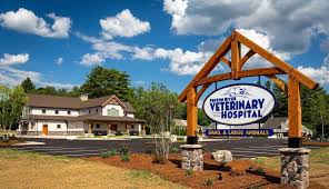 Our mission is to provide the highest quality in veterinary medical animal pet health care in a professional, friendly, relaxed setting. Dvm360 Announces Winners Of 2021 Hospital Design Competition Business Wire