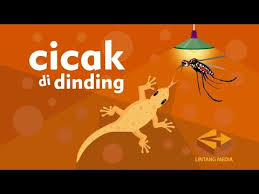 Cicak Cicak Di Dinding Lagu Anak Indonesia Populer Youtube Lagu Anak Gambar Kucing Lucu