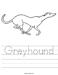 Lavishly whippet coloring pages greyhound anim. Greyhound Worksheet Twisty Noodle