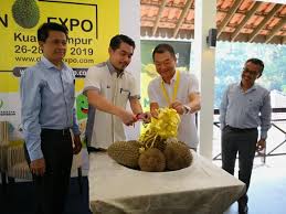 Ride in style at bukit kiara, where equestrian and polo is within easy reach. Ekspo Durian Di Bukit Kiara Equestrian Country Resort