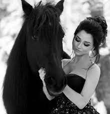 yakeen horses animals female profile