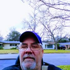 This Meerkat Is a Distinguished Gentleman 😂😂 🎥 (Apollinariya Urzhumova  via ViralHog) #meerkat #funnyvideos #funny #animalvideos #animals