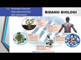 Ketahui lebih lanjut mengenai keperluan pendidikan, gaji, dan bidang khusus dalam kaunseling. 1 1 Bidang Biologi Dan Kerjaya Youtube