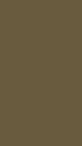 Top 10 Pantone Fall Colors 18 Iphone Wallpapers Preppy Wallpapers Solid Color Backgrounds Hex Colors Hex Color Codes