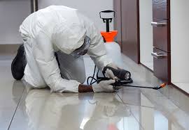Including a timber pest inspection condition on your offer. Pest Control Charters Towers Pest Treatment Fully Qualified Controller
