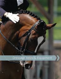 In our application, we will try to extract a blue colored object. Dressage Equipment Rosinburg Events
