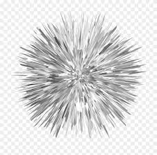 However, it is not a seashell but echinoderm and is related to the sea urchin, sea cucumber and sand dollar. Sea Otter Red Sea Urchin Coloring Book Sea Urchin Drawing Clipart 4966333 Pikpng