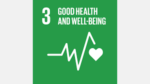 17 goals to transform our world. Un Sustainable Development Goals