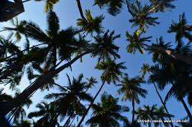 Revdanda Fort- Quick stop between ...