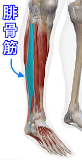 30 代 クラブ 痛い